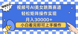 视频号蓝海赛道玩法，当天起号，拉爆流量收益，小白也能轻松月入30000+-游客之家