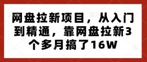 网盘拉新项目，从入门到精通，靠网盘拉新3个多月搞了16W-游客之家