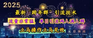 最新“跨年群”引流，流量非常猛，单日引流两人满人群，立马操作立马见效【揭秘】-游客之家