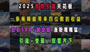 2025自热引流天花板，一条视频能带来四位数的收益，引流+变现双管齐下，日引500+创业粉，涨粉嘎嘎猛-游客之家