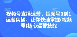 视频号直播运营，视频号0到1运营实操，让你快速掌握(视频号)核心运营技能-游客之家