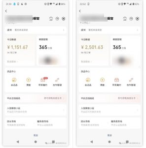 2025视频号蓝海超级暴利自动爆单术1.0 ，小白褔音 简单剪辑 不直播 不挂车-游客之家