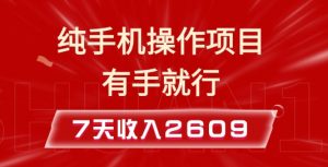 纯手机操作的小项目，有手就能做，7天收入2609+实操教程【揭秘】-游客之家