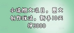 小说推文项目，图文创作玩法，新手10天挣3000-游客之家