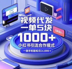 视频代发，一单5块，小红书引流合作模式，一部手机轻松日入多张【揭秘】-游客之家