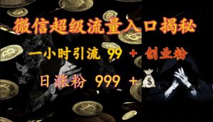 微信超级流量入口揭秘:一小时引流 99 + 创业粉,日涨粉 999 +-游客之家