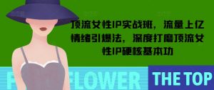顶流女性IP实战班，流量上亿情绪引爆法，深度打磨顶流女性IP硬核基本功-游客之家