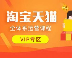 淘宝天猫全体系运营课程：店铺全系运营、动销玩法、付费推广、流量提升、擦边球玩法等等-游客之家