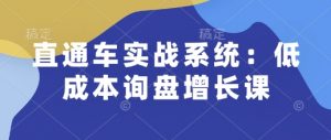 直通车实战系统：低成本询盘增长课，让个人通过技能实现升职加薪，让企业低成本获客，订单源源不断-游客之家