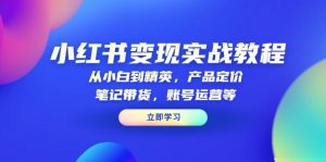 小红书变现实战教程：从小白到精英，产品定价，笔记带货，账号运营等-游客之家