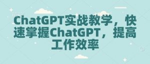 ChatGPT实战教学，快速掌握ChatGPT，提高工作效率-游客之家