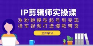IP剪辑师实操课：涨粉跑模型起号到变现，挂车视频打造爆款带货-游客之家