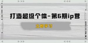 打造 超级个体-第6期ip营：商业认知,产品设计,成交演练,解决知识变现难题-游客之家