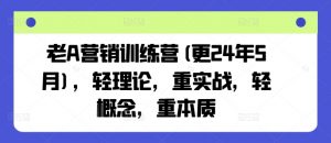 老A营销训练营(更25年1月)，轻理论，重实战，轻概念，重本质-游客之家