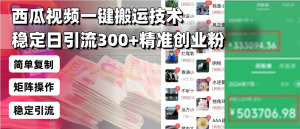 西瓜视频一键搬运技术，稳定日引流300+精准创业粉，简单可复制给团队，...-游客之家
