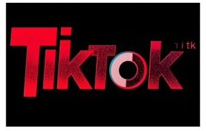 TikTok ads投流秘籍，涵盖tiktok整体投放思路，教你搭建测试计划-游客之家