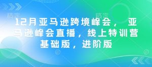 12月亚马逊跨境峰会， 亚马逊峰会直播，线上特训营基础版，进阶版-游客之家