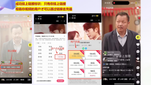书阳老师·短剧运营变现之路-游客之家