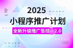 2025小程序推广计划，全新升级撸广告挂JI2.0玩法，日入多张，小白可做【揭秘】-游客之家