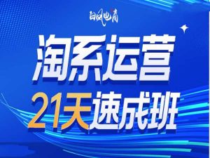 淘系运营21天速成班35期，年前最后一波和2025方向-游客之家