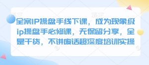 全案IP操盘手线下课，成为现象级ip操盘手必修课，无保留分享，全是干货，不讲废话超深度培训实操-游客之家