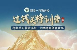 剽悍一只猫-过钱关特训营，学习营销真经 大幅度提高创富效率-游客之家