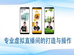 个人虚拟直播间的搭建与操作，专业虚拟直播间的打造与操作-游客之家