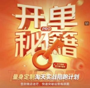 淘宝开单秘籍PRO，量身定制淘天实战陪跑计划，告别做店迷茫、快速突破运营瓶颈期-游客之家