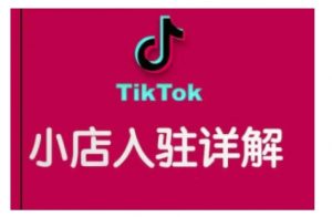 TikTok跨境小店运营全攻略，帮助你独立运营TK跨境小店的能力，实现销量增长-游客之家