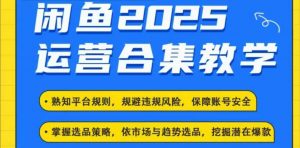2025闲鱼电商运营全集，2025最新咸鱼玩法-游客之家