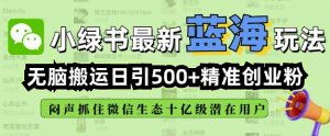 小绿书无脑搬运引流，全自动日引500精准创业粉，微信生态内又一个闷声发财的机会-游客之家