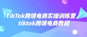 TikTok跨境电商实操训练营，tiktok跨境电商教程-游客之家