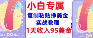 复制粘贴挣美金，0门槛，1天收入95美刀，3分钟学会，内部教程(首次公开)-游客之家