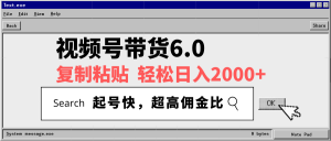 视频号带货6.0，轻松日入2000+，起号快，复制粘贴即可，超高佣金比-游客之家