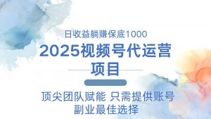 2025视频号代运营 日躺赚1000＋ 只需提供账号-游客之家