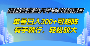照抄答案当天学会的新项目，单号日入300 +可矩阵，有手就行，轻松放大-游客之家