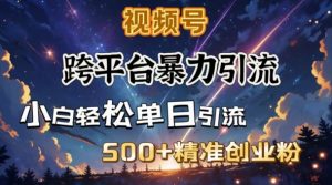 跨平台暴力引流，私域完美闭环，日引500+精准创业粉-游客之家