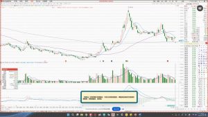 大师兄·鹿鼎山系列内部课程(更新2025年1月)-游客之家