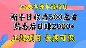 2025开年好项目，单号日收益2000左右-游客之家