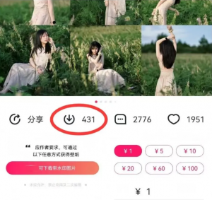 最新图虫搬运项目，收益无上限，利用AI小白也可日赚500+-游客之家