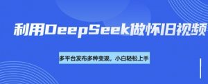 利用DeepSeek做怀旧视频，流量号多渠道变现能力强-游客之家
