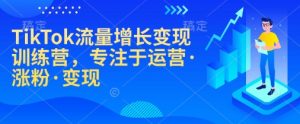 TikTok流量增长变现训练营，专注于运营·涨粉·变现-游客之家