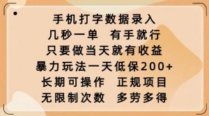 手机打字数据录入，几秒一单，有手就行，只要做当天就有收益，暴力玩法一天低保2张-游客之家