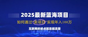 2025最新蓝海项目，零门槛轻松复制，月入10万+，新手也能操作！-游客之家