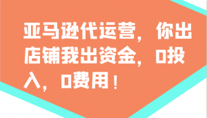亚马逊代运营，你出店铺我出资金，0投入，0费用，无责任每天300分红，赢亏我承担-游客之家