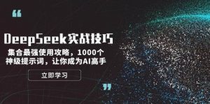 DeepSeek实战技巧：集合最强使用攻略，1000个神级提示词，让你成为AI高手-游客之家