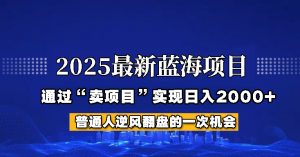 2025年蓝海项目,如何通过“网创项目”日入2000+-游客之家