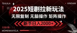 2025短剧拉新玩法，无需注册登录，无限0撸，无脑批量操作日入2000+-游客之家