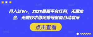 月入过W+，2025最新平台红利，无需本金、无需技术绑定账号就能自动收米-游客之家