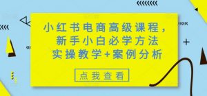 小红书电商高级课程，新手小白必学方法，实操教学+案例分析-游客之家